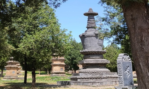 Pagoda-Forest